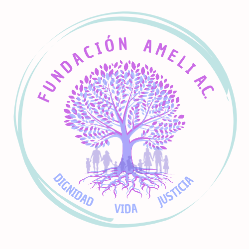 FUNDACIÓN AMELI